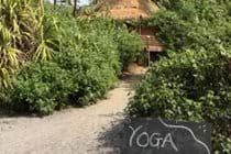 Daily yoga in a variety of location and venues